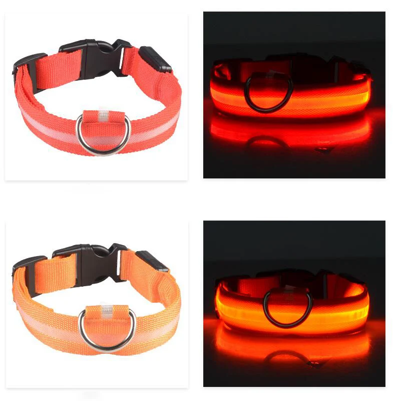 dog collar 1 (1)