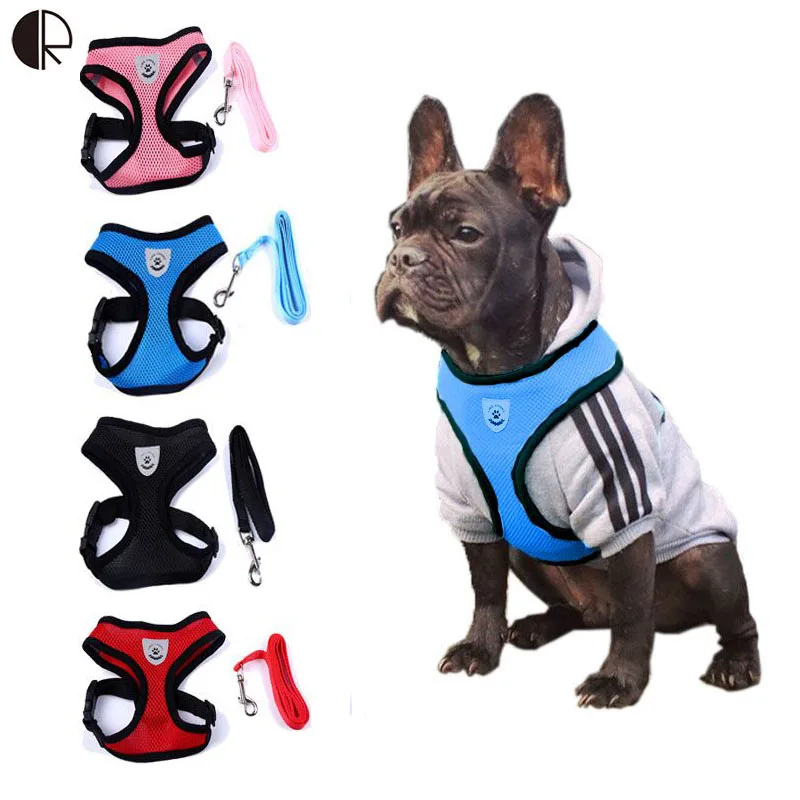 pets at home dog harness