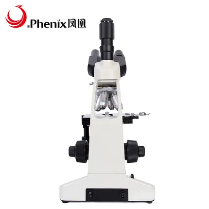 PH50 04