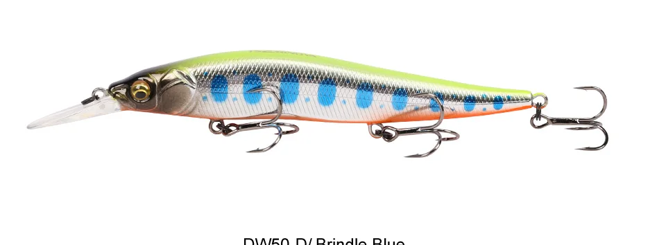 DW50---Y_43