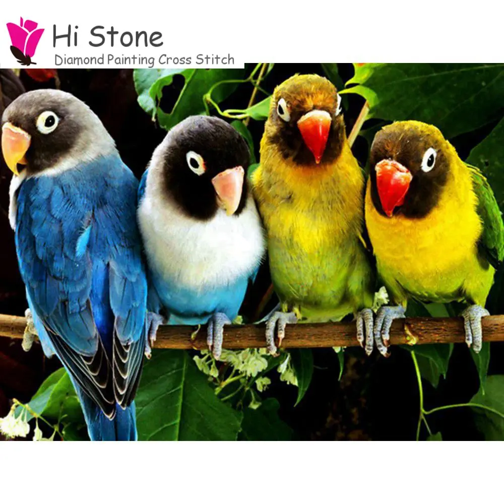 Где Можно Купить Живого Попугая