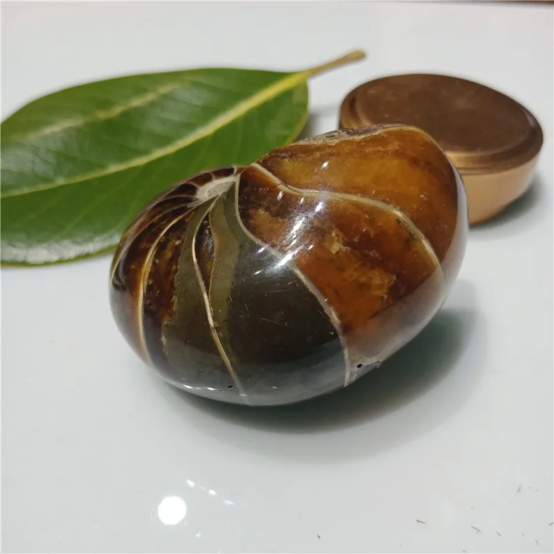 IMG20190224110859