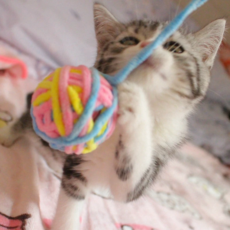 

Cat toy cat ball cat favorite wool ball