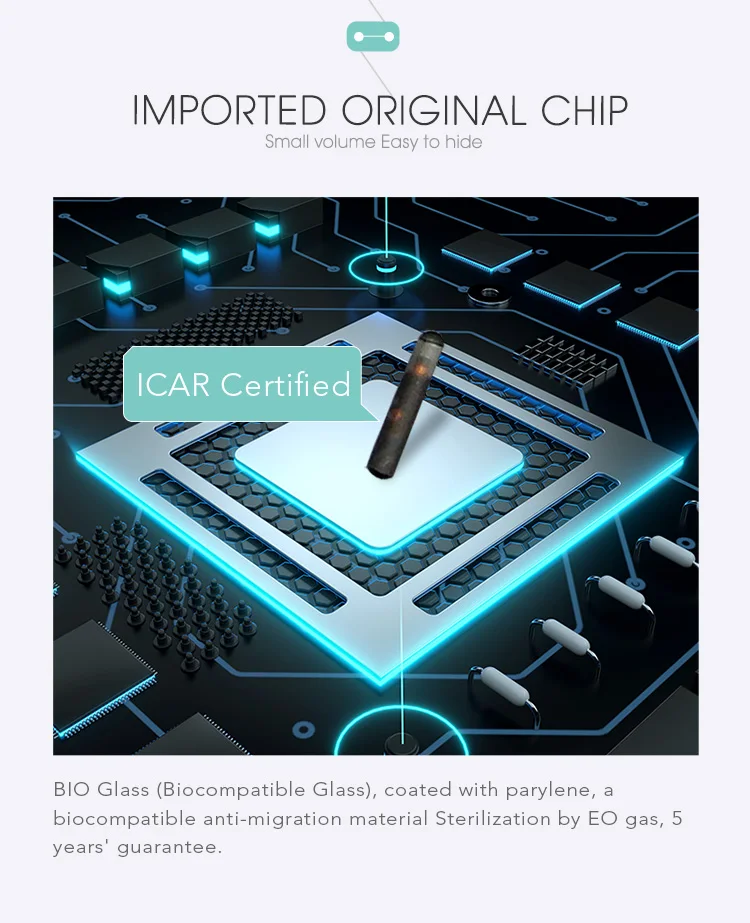 Original chip