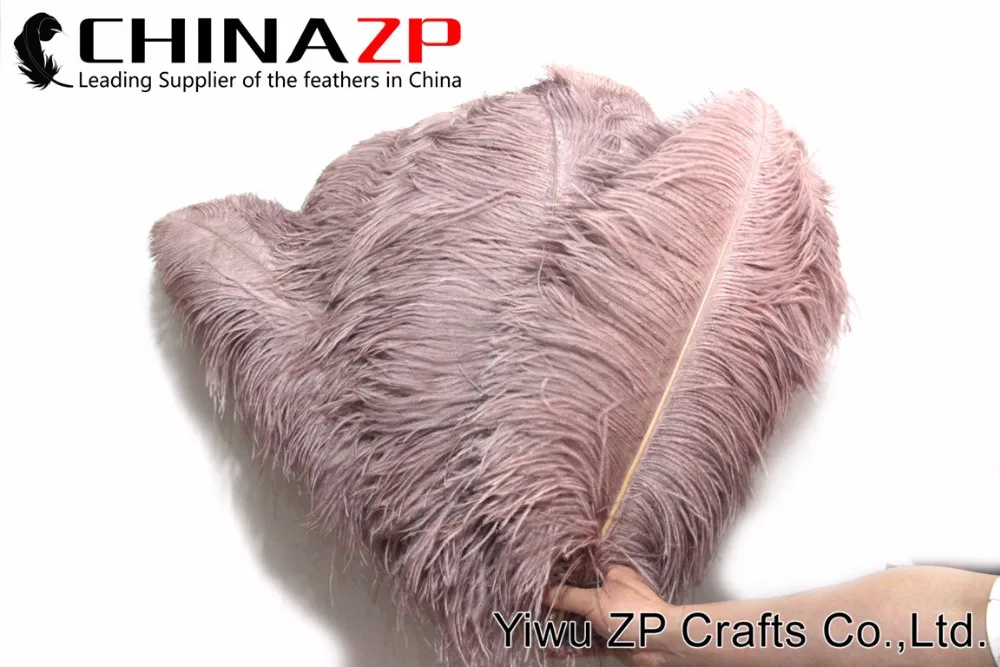 1 PRIME GRADE Large Wing Plumes Wholesale Feathers (bulk) (2)
