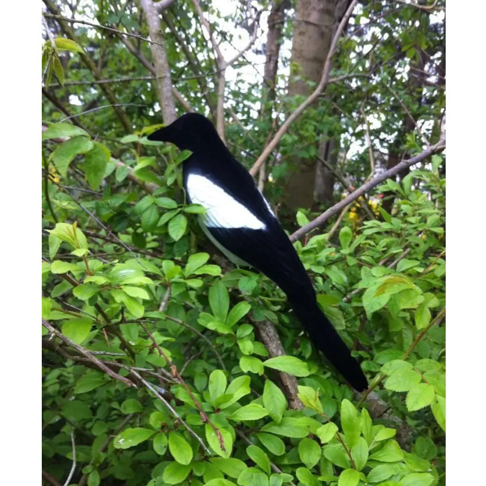 Slide image 356346a0cf964bcca7fc5859031839c6