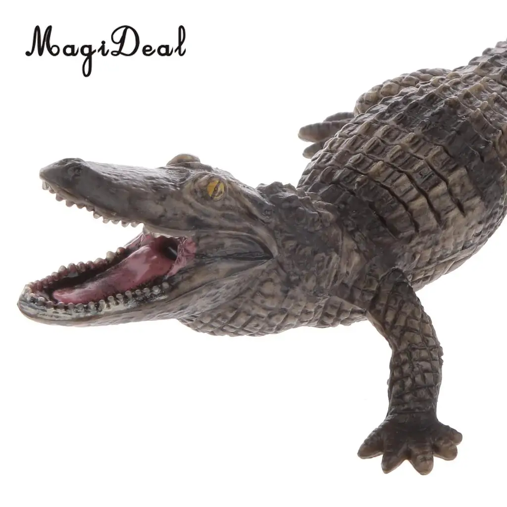 MagiDeal 1Pc Realistic Reptile Crocodile Zoo Model Action Figure Decorative Collectibles for Home Room Office Decor Kids Boy Toy
