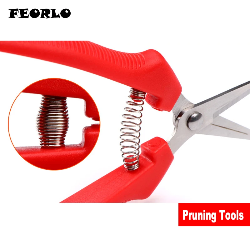 pruning tools 2