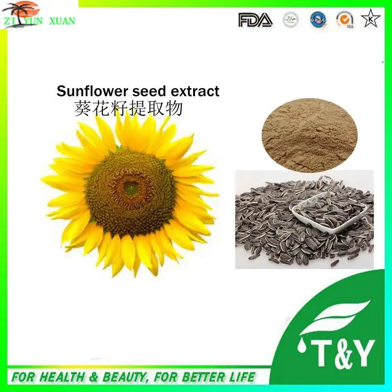 800g High Quality Sunflower Extract Powder/Sunflower Extract/Sunflower