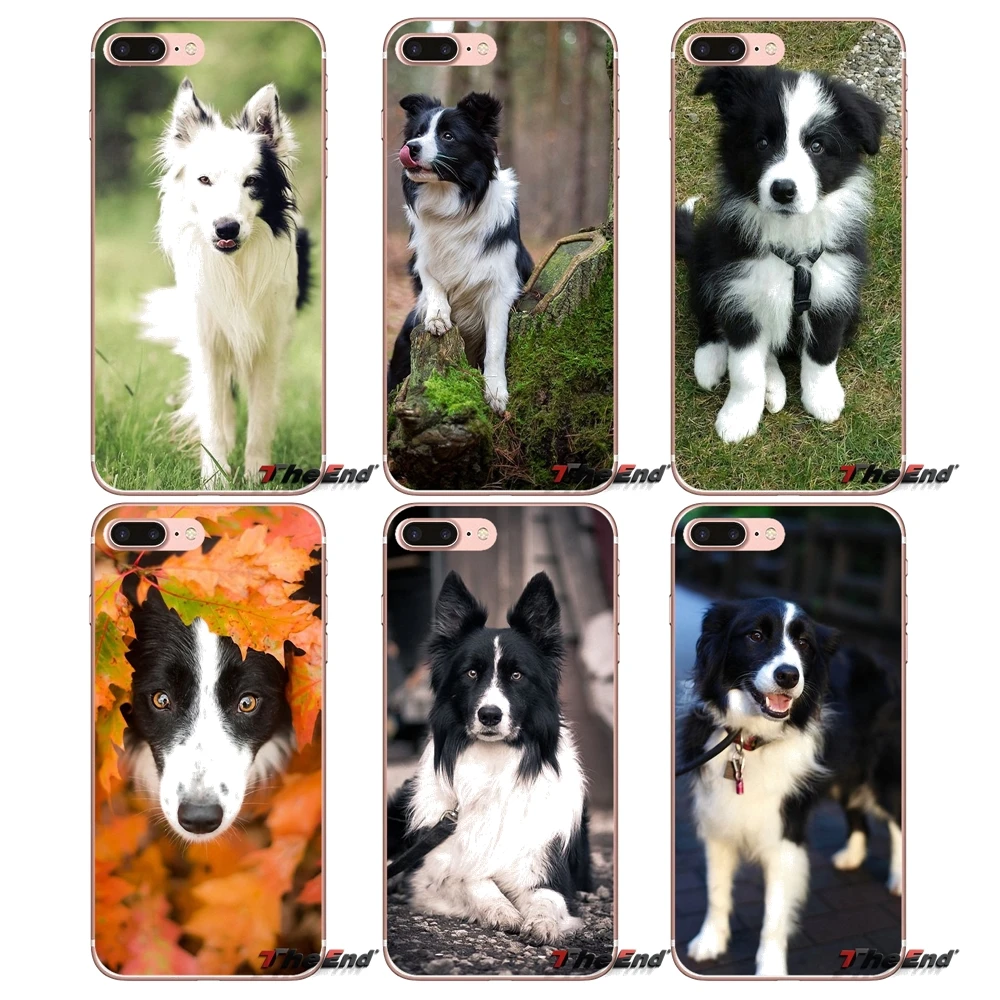 Мягкий силиконовый чехол для iPhone X 4 4S 5 5S 5C SE 6 6S 7 8 Plus Samsung Galaxy J1 J3 J5 J7 A3 A5 2016 2017 Border Collie
