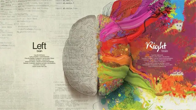 left and right brain differences education poster home decor custom
