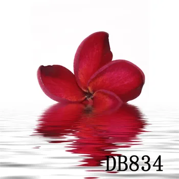

LB Polyester & Vinyl Photo Background Photography Backgrounds For Photo Studio Red Flower Falling On The Water Decor