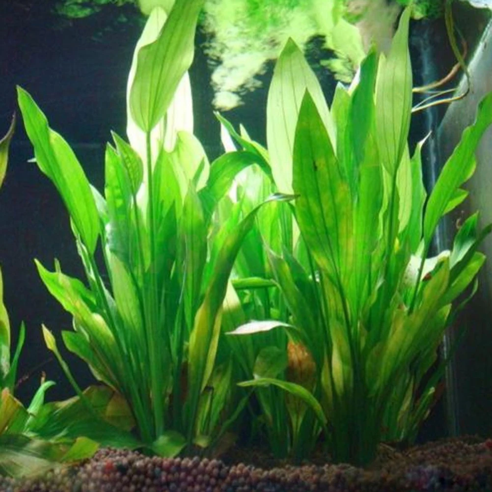 

Plastic Grass Green 15cm Manmade Water Plant 1pcs Height for Aquarium Decoration Supplies Water Grass