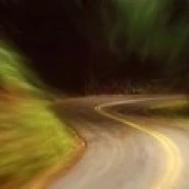 USA   California  Marin County  road Poster Print (36 x 12)