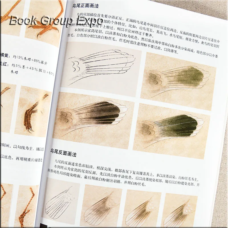 Chinese painting book animal bird painting book by gongbi written By Li Xiaoming 54 Page Chinese painting book animal bird painting book by gongbi written By Li Xiaoming 54 Page