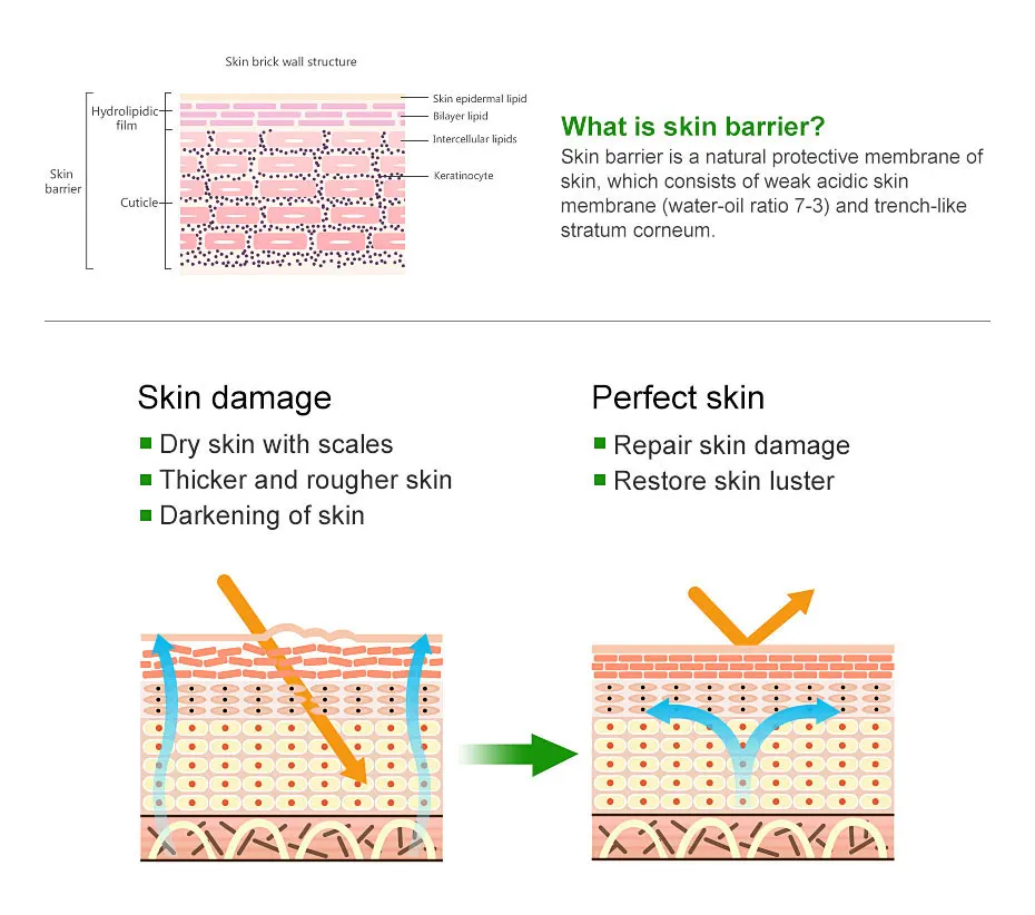 50 шт. YANDAFU Focallure Skin крем от псориаза Dermatitis Prutitus лечение экземы крем для кожи болезни Антибактериальный крем для тела