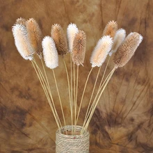6 шт. декоративные сушеные цветы сухофрукты растения Флорес ветка фестиваль украшения DIY ручной работы аксессуары для дома DF17