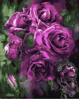 

MaHuaf-W1240 Purple roses Painting by numbers DIY oil coloring by numbers canvas painting for living room