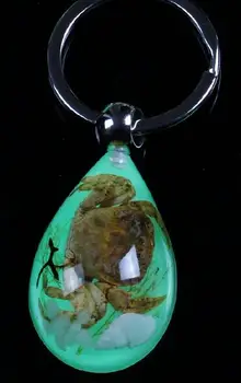 

FREE SHIPPING 10 keychain real crab Pressed luminous style fashion jewelry