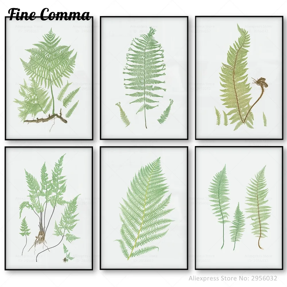 mockup_FCA190509012P_1_w