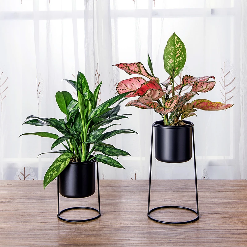 Набор из 2 стоячих контейнеры для растений стоячих плантаторов Air Plant Stand Plant Holders, один высокий плантатор и один короткий плантатор