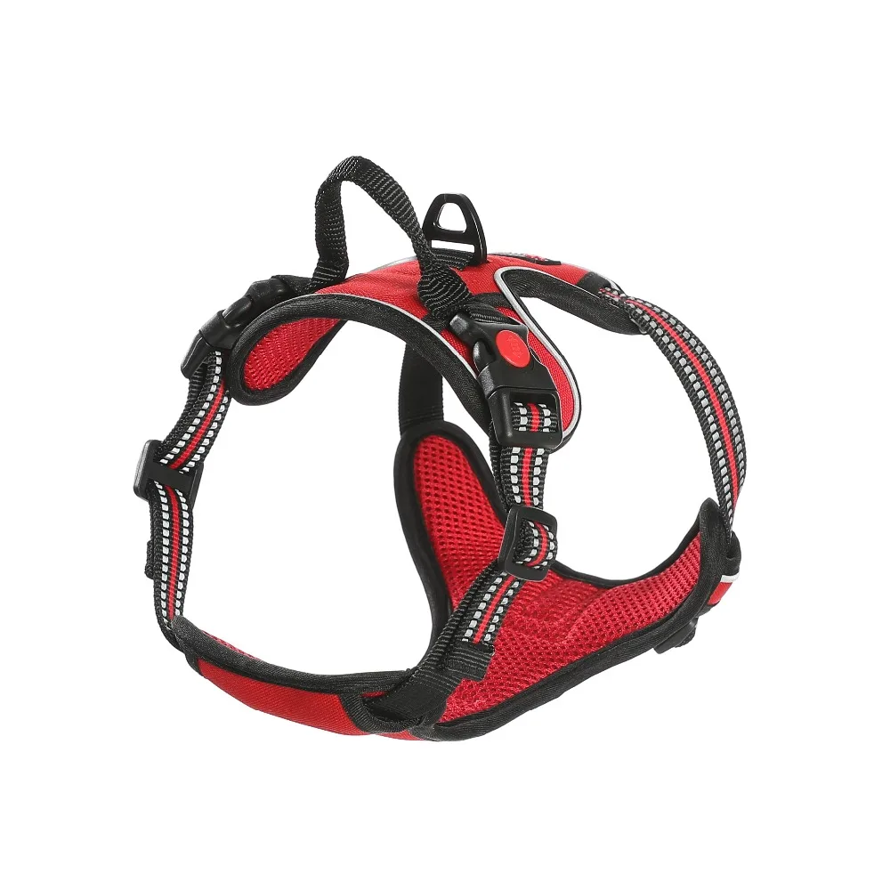 微信图片_20190603090334