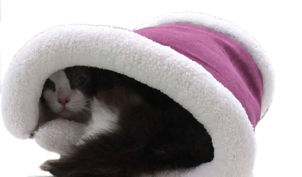 cat tunnel