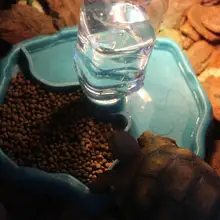 Рептилия ПЭТ автоматический питьевой фонтан Гекко змея Ceratophrys Eluding Cave Кормление миска для домашних животных