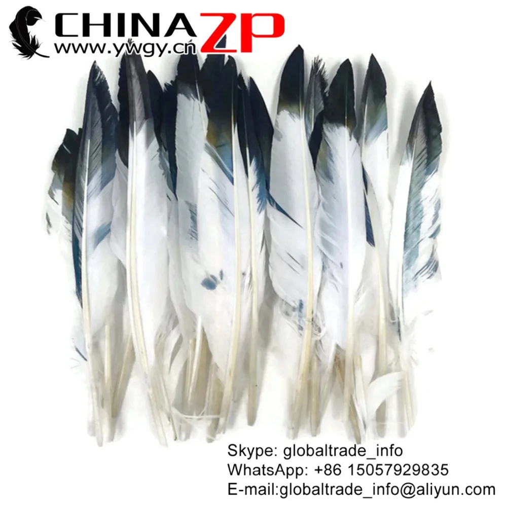 

Factory Directly Wholesale 100pcs/lot Size from 12inch to 14inch Unique Navy Tipped White Duck Pointer Primary Wing Feathers