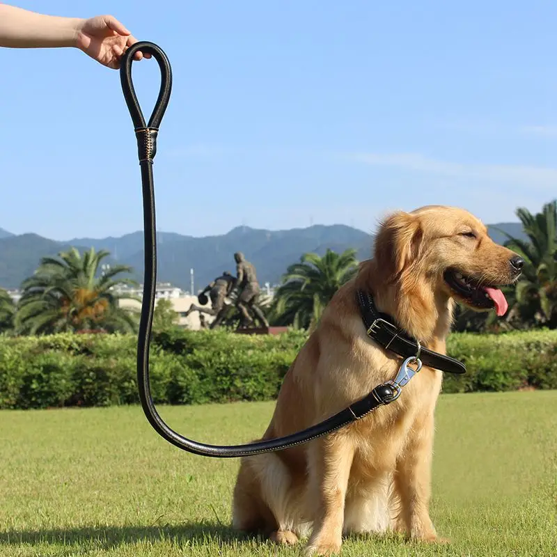

Pet Lead Rope Leather Collar For Big Dog Strong Lead Traction rope Leather Large Dog Collar and Leash Set Brown XL Metal Buckle