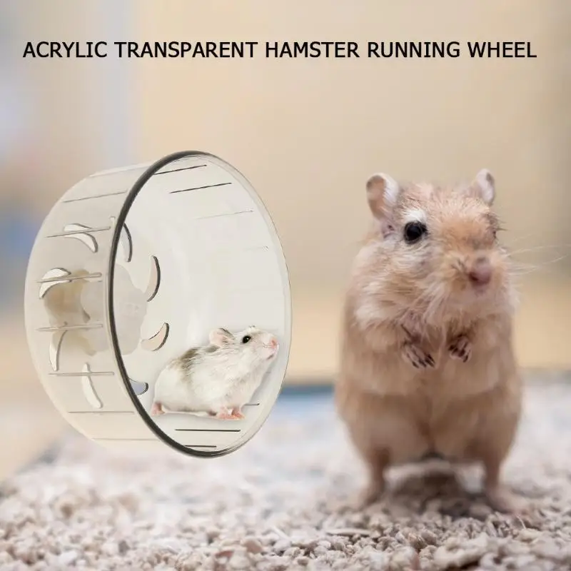 Hamster Running Wheels Transparent Hamster Wheel Running Jogging Treadmill Silent Small Pet Supplies