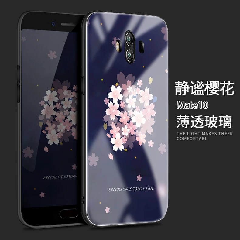 mate 10 (3)