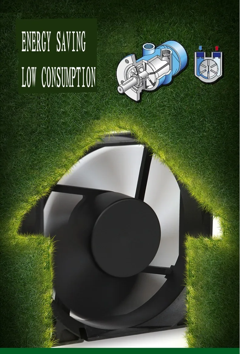 06_conew1