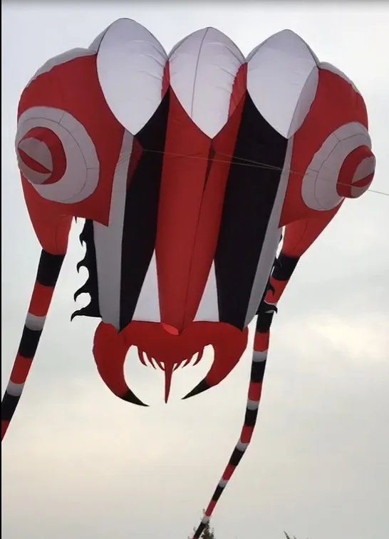 kites for adults near me kites for adults near me