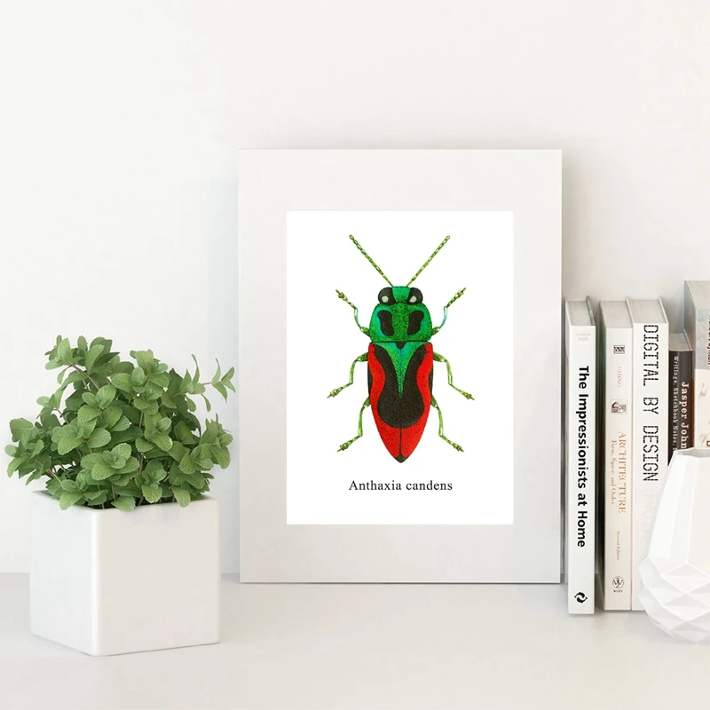 Watercolor Beetle Illustration Poster Home Decor