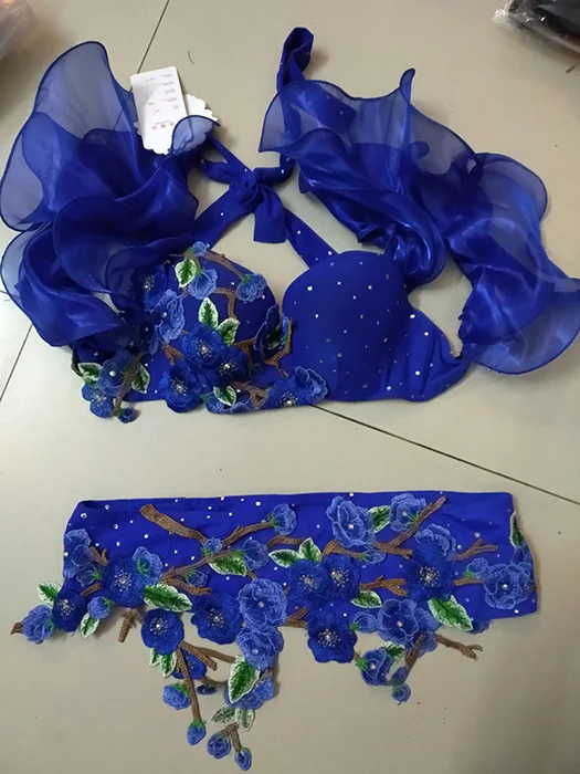 2 Pcs Костюмы для танца живота, женский костюм для танца живота, карнавальный Комплект для танца, индийская одежда Болливуда, Женская экзотическая танцевальная одежда DN1399 - Цвет: 2 Pcs