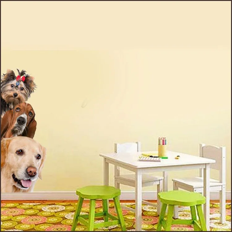 4555526039_717661661