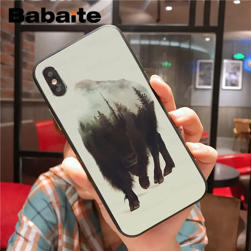 Wild Boar pig animal