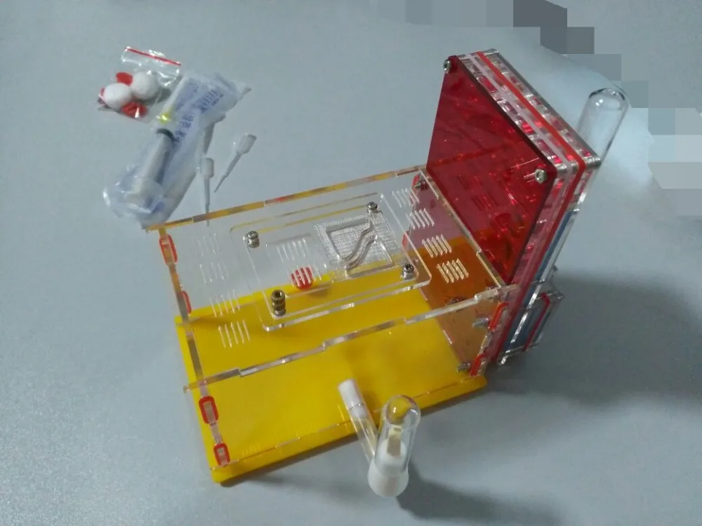 ant-nest-b1 (1)