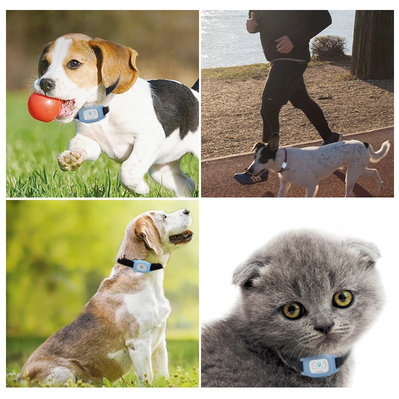 

MiNi Waterproof Pets GSM GPS Locator Tracker Rastreador Tracking For Pet Dog Cat Adjustable Collar Real Time Track Alarm Device