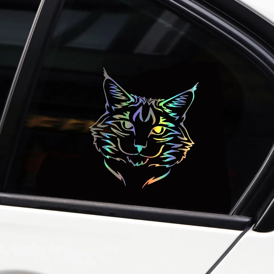 Anycuros Maine Coon Cat Breed Kitten Pet Animal Vinyl Decal Classic Cartoon Window Decoration Car Sticker 1415CM  (10)