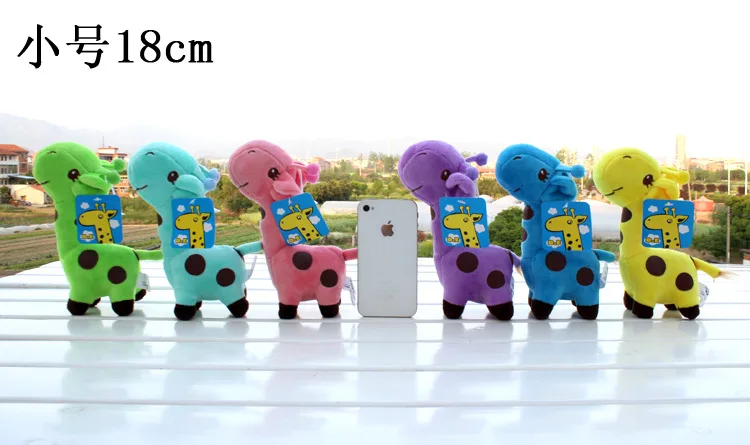 4102568564_1910646898