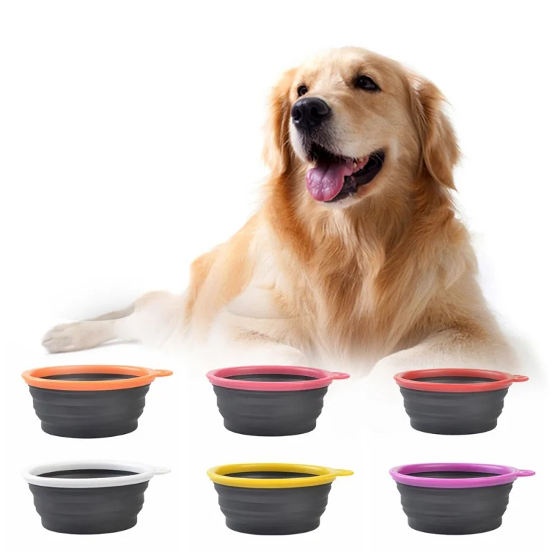 cat bowls to slow down eating cat bowls to slow down eating