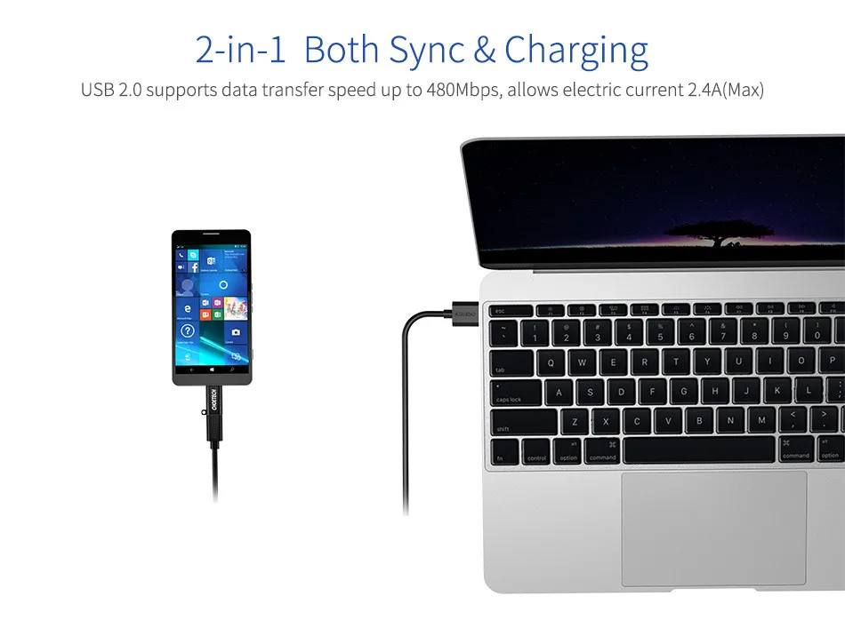 USB C Converter 4