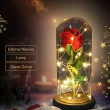 Светодиодный красивая Роза зверь Роза Зачарованный красная шелковая Роза, который длится навсегда со светодиодный Фея огни строки Best подарок для День Матери