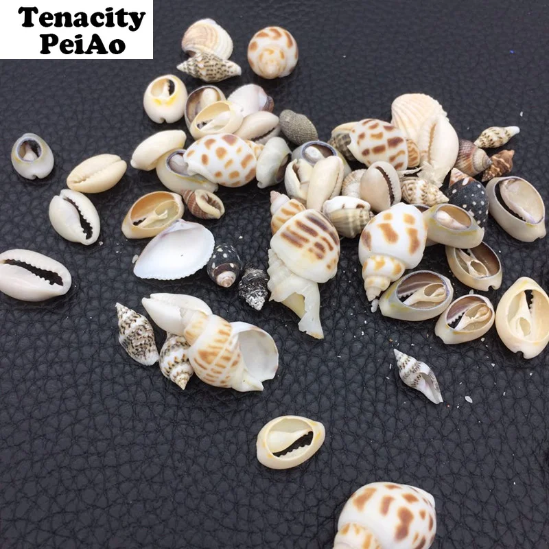 

30g/bag Ocean Wind Natural Shell Epoxy Mold Making Accessories Filler Simulation Cream UV Resin Material for DIY Jewelry Filling
