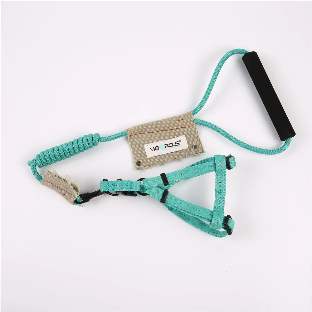 0245-sku1 dog leash and harness