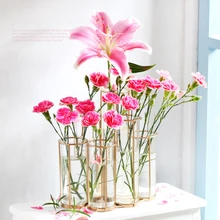 Новая Скандинавская креативная стеклянная 6 гидропонная ваза железная художественная ваза Золотая тестовая ваза украшения для дома и офиса