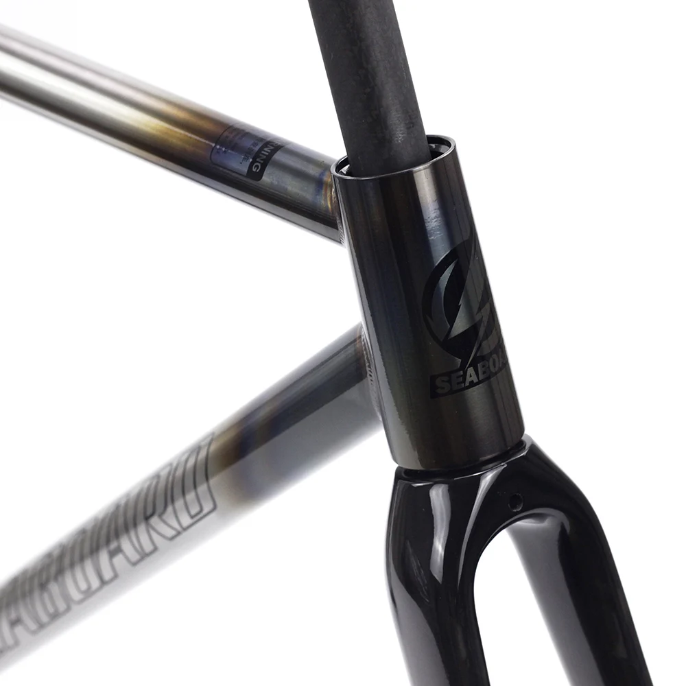 seaboard chrome fixed gear frame (6)