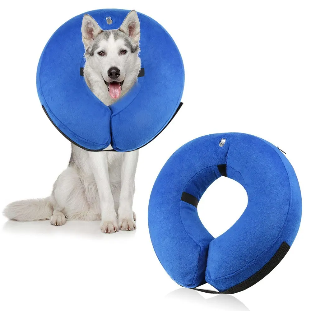 Pet Recovery E-Collar  (8)